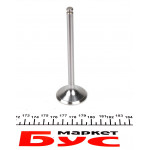 Клапан (впуск) Renault Trafic 1.9DCI 01- (35.4х6.99х111) = 5638010000 