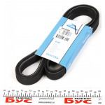 Ремінь генератора Ford Transit 2.4TDCi/3.2TDCi 06- 