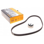 Комплект ГРМ Citroen Berlingo/Peugeot Partner/Expert 1.8 96-(17x114z) 