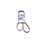 Ремінь генератора Man TGL/TGL 4.7/6.9 05- (4PK1381) 