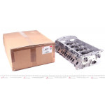 Головка блоку циліндрів (з клапанами) Ford Transit/Peugeot Boxer 2.2TDCi/HDi 11- EURO5 