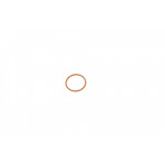 Прокладка форсунки ущільнювальна VW Caddy/Crafter 2.0TDI 10-16 (кільце) 