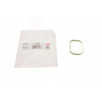 Прокладка колектора впускного Ford Focus 2.0 Ti-GDi 10- 