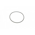 Прокладка помпи води Ford Transit V363 2.0 EcoBlue 16- 