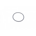 Прокладка колектора впускного Renault Kangoo/Laguna II/Trafic 1.4-2.0 01- 