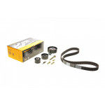 Комплект ГРМ Ford Escort/Mondeo 1.6/1.8/2.0 16V 92-00 (25x131z) 