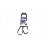 Ремінь генератора Ford Focus 1.8/2.0i 03-12 