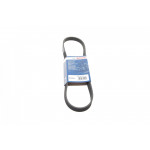 Ремінь генератора Mitsubishi Colt/Toyota Corolla 1.3 89-03 (5PK865) 