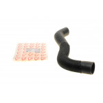 Патрубок інтеркулера (нижній) (R) Fiat Ducato 2.3JTD 06- 