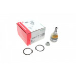 Опора кульова (передня/знизу) Mitsubishi Colt VI/Smart Forfour 04-12 