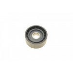 Ролик генератора Renault Trafic/Opel Vivaro 01- (паразитний) (60x25.5) підшипник SNR 