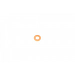 Шайба під форсунку Fiat Doblo 1.9JTD/Citroen Berlingo 1.6HDI 