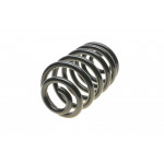 Пружина (задня) Renault Trafic III 1.6dCi 14-/Opel Vivaro A/B 01- (з пост.диам.) 