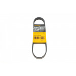 Ремінь генератора Seat Ibiza/Skoda Fabia/Rapid/Citigo/VW Polo/Up 1.0/1.6 14- (-AC) 