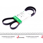 Ремінь генератора Citroen Berlingo 1.6 00-08/ Nemo 1.4i 08- 