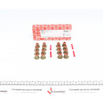 Сальник клапана (впуск/випуск) BMW 3(E90)/5(E39)/7(E38) 2.0D/3.9D 07-11 (к-кт 16шт) 