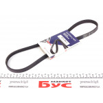 Ремінь генератора Fiat Doblo 1.6 01- (4PK874) 