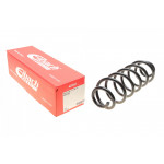 Пружина (задня) VW Golf V/VI 1.4-2.0FSI/1.9-2.0TDI 03-13 (нахил.з.ч.) 