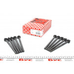 Болти головки (к-кт 10шт.) Opel Combo 1.6 05- 