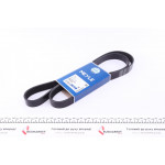 Ремінь генератора BMW 5 (E34)/7 (E38) 3.0i/4.0i 92- (7PK1605) 