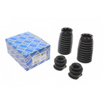 Пильник + відбійник амортизатора (переднього) Renault Laguna 1.5/1.6/2.0/3.0 dCi 07- (к-кт 2шт) 