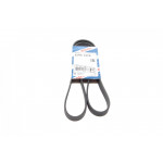 Ремінь генератора MB (W168)/Renault Megane I 1.6 96-03 (5PK1275) 