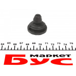 Кронштейн кріплення корпуса фільтра повітряного Renault Kangoo//Megane II/Scenic II 1.5 dCi 02- 