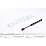 Амортизатор кришки багажника Skoda Superb/VW Passat 01-08 