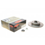 Диск гальмівний (задній) Renault Clio III 08-14 (300х11) (+ABS) (з підшипником) 