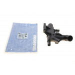 Термостат Renault Scenic III 1.6dCi 11-/Megane IV 1.6dCi 16- (80°C) 