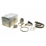 Комплект ГРМ + помпа VW T6/Golf/Passat/Caddy 1.6/2.0 TDI 15- (145x25)(помпа P669) 