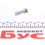 Болт Banjo (банжо) M10x1mm (11x37) 