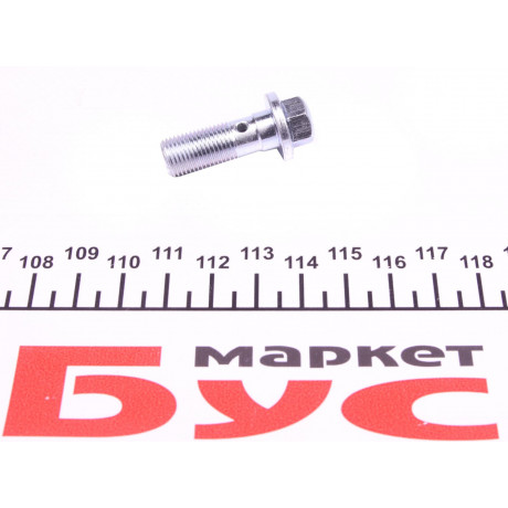 Болт Banjo (банжо) M10x1mm (11x37)