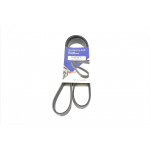 Ремінь генератора Nissan Micra/Note 1.2 10- 