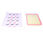 Фільтр повітряний Renault Master 1.9-2.5dCi/Mascott 2.8DTI 98- (сетка/з поролоном) (без карт.уп.) 