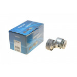 Натяжник ременя генератора Renault Scenic/Megane II/III 1.9dCi/2.0 16V 03- 