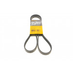 Ремінь генератора Renault Kangoo 1.2i 97- 