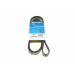 Ремінь генератора BMW 5 (E39)/Opel Omega B 2.5D/2.5TD 94-03 