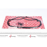 Прокладка кришки клапанів MB E-class (W211) 02-08 