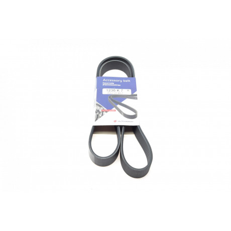 Ремінь генератора Fiat Ducato 2.3D 06- (7PK1236)