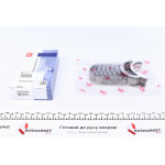 Вкладиші корінні Daewoo Nexia/Opel Combo 1.2i-1.6i (+0.25) (к-кт) = 6035002500 