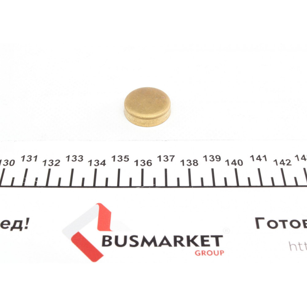 Заглушка блоку циліндрів (d=22mm) Латунь/Brass