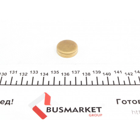 Заглушка блоку циліндрів (d=22mm) Латунь/Brass