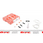 Комплект прокладок турбіни VW Passat 2.5 TDI 98-05 