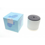 Фільтр повітряний Audi A8 4.2/6.3FSI quattro 09-/S8 4.0TFSI quattro 12-18 