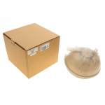 Бачок розширювальний VW Golf VII/Passat/Touran 1.2TSI-2.0TSI/1.6TDI-2.0TDI 12- 