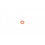 Сальник клапана (впуск/випуск) Opel Kadett/Rekord 1.5/1.7/1.9 -79 