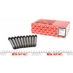 Болти головки (к-кт 10шт.) Audi A3/A4/A6/Skoda Octavia/VW Bora/Golf IV/Passat 1.8 95- 