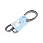 Ремінь генератора Citroen Berlingo 1.6 00-11/ Mitsubishi Colt 1.1-1.5 04-12/ VW Polo 1.7-1.9 94-01 