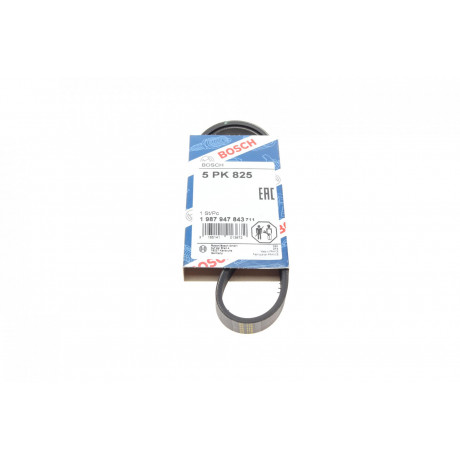 Ремінь генератора Fiat Ducato 1.9D/TD 94-02 (5PK825)